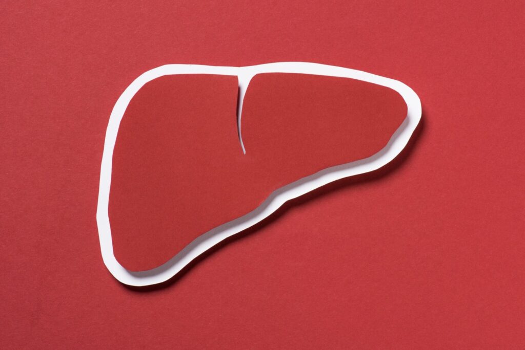 top view of liver on red background, healthcare concept