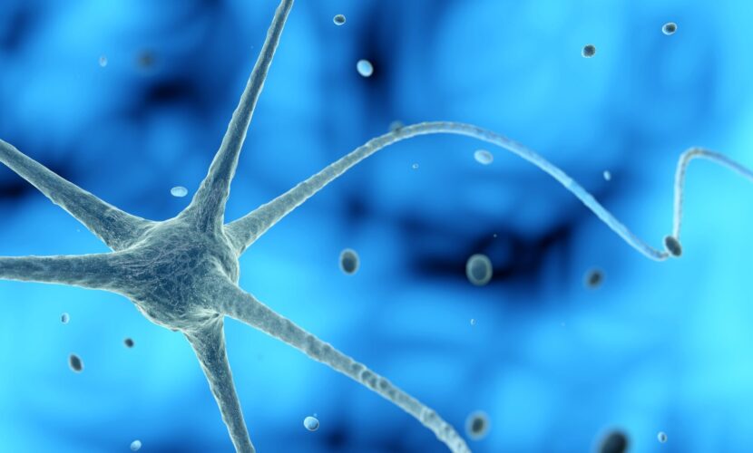 nerve cell in a blue background, 3D illustration