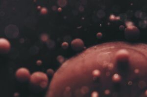 Red blood cells under microscope abstract background
