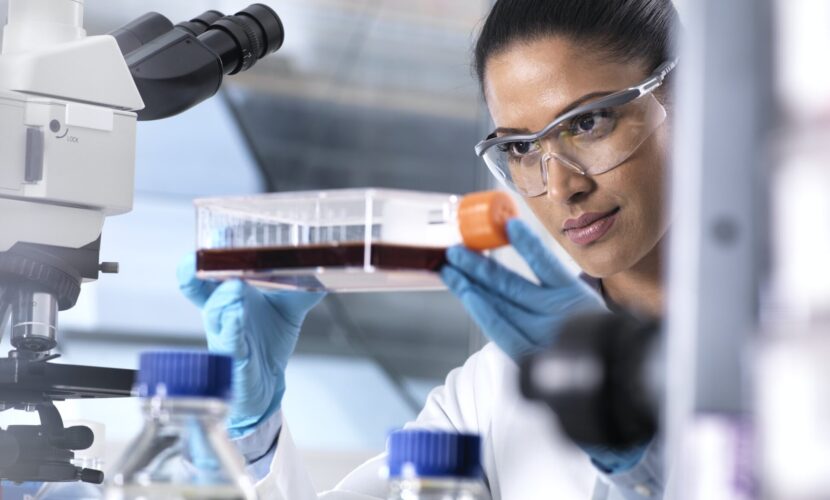 Biomedical Research, female scientist viewing stem cells