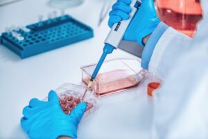 Biotechnology Researcher in Laboratory Working with Cell Culture