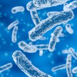 rod-shaped bacteria background