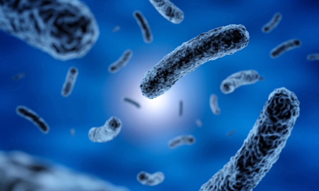 rod-shaped bacteria in blue background